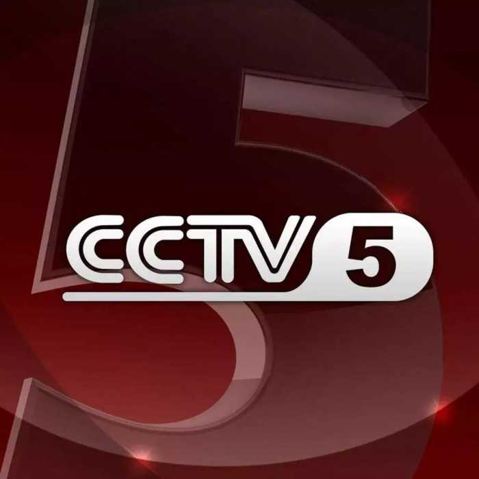 CCTV5今日直播：19:35直播：北京冬残奥会-轮椅冰壶(中国-美国)
