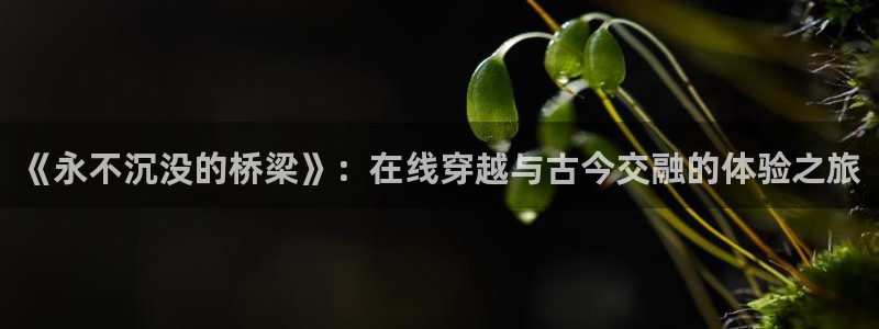 鼎点娱乐能退款吗：《永不沉没的桥梁》：在线穿越与古今交融的体验之旅