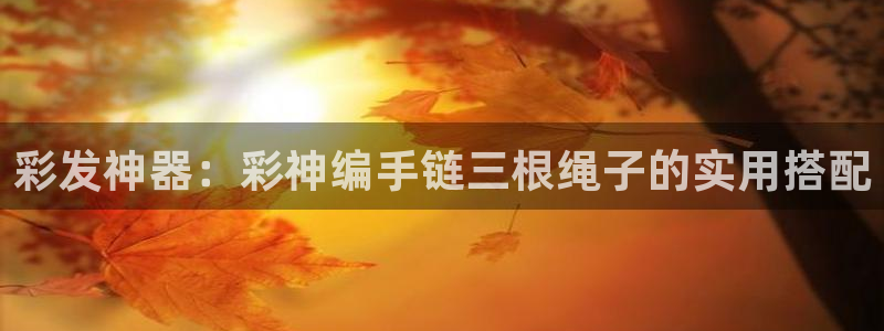 壹号大舞台娱乐app下载安装：彩发神器：彩神编手链三根绳子的实用搭配