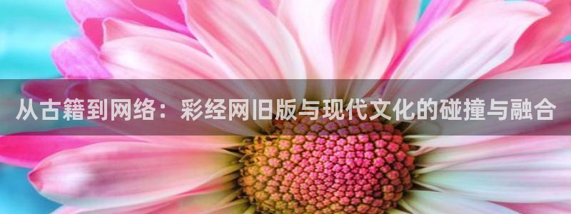 壹号下载安装：从古籍到网络：彩经网旧版与现代文化的碰撞与融合