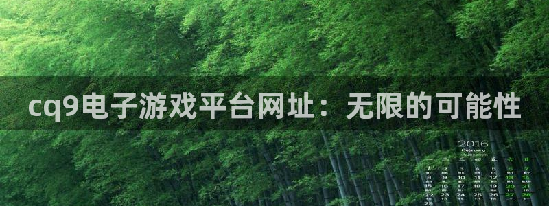 鼎点娱乐总代理：cq9电子游戏平台网址：无限的可能性