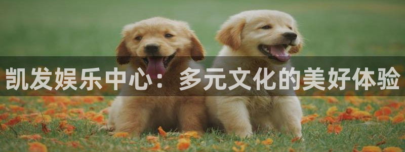 壹号大舞台：凯发娱乐中心：多元文化的美好体验