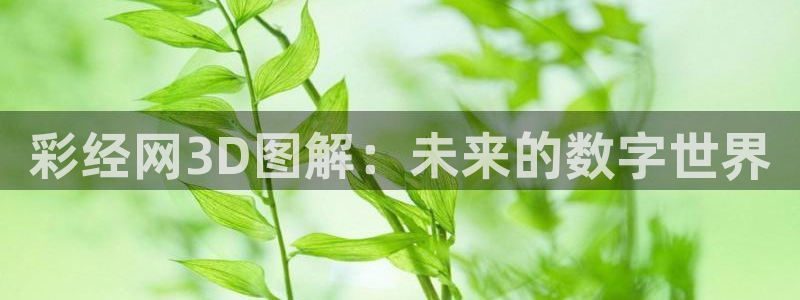 壹号电子娱乐app：彩经网3D图解：未来的数字世界